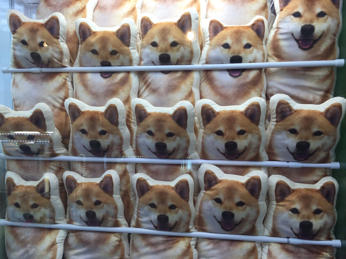 モナコ吉祥寺 世界一有名な柴犬 まるがプライズ化 大きなプリントクッションとがま口入荷です ホントに可愛くて思わずにやけます 柴犬まる T Co Dex9rjjjet モナコ吉祥寺 世界一有名な柴犬 まるがプライズ化 大きなプリントクッションとがま口入荷です ホントに可愛くて思わずにやけます 柴犬まる T Co Dex9rjjjet
