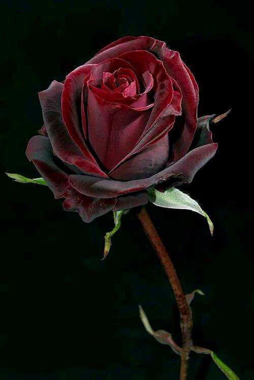 DmetryB's tweet image. Отлично Сделано!