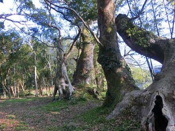 ロケ地 全シリーズ網羅 精霊の守り人 撮影目撃情報まとめと撮影裏話