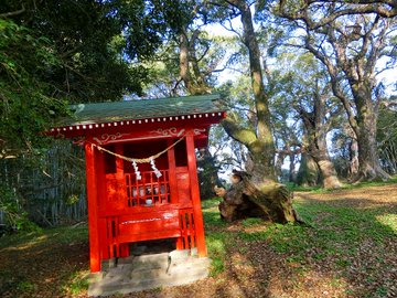ロケ地 全シリーズ網羅 精霊の守り人 撮影目撃情報まとめと撮影裏話