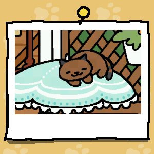 #ねこあつめ