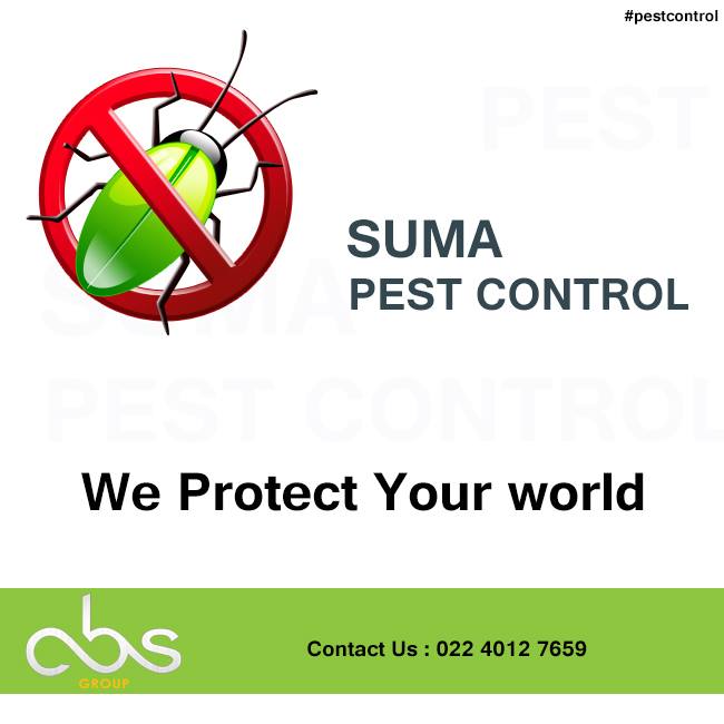 absgroup55's tweet photo. Suma Pest Control offers a range of professional pest control to keep your environment pest-free #pestcontroltips https://t.co/IXH1nBDBqX