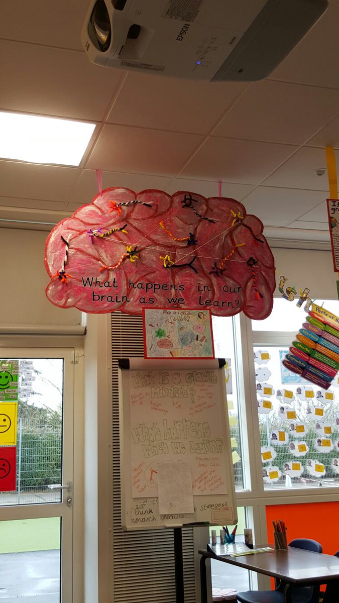 Local Primary School recycling our old POS boards for their School projects #recycle