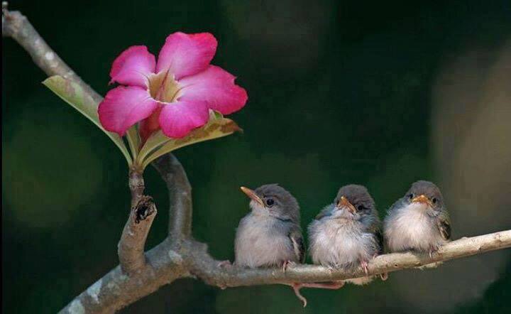 gede_prama's tweet photo. Remember, life is a beautiful song to sing
https://t.co/w45WpLfhlg
https://t.co/Wqtd6Z925J