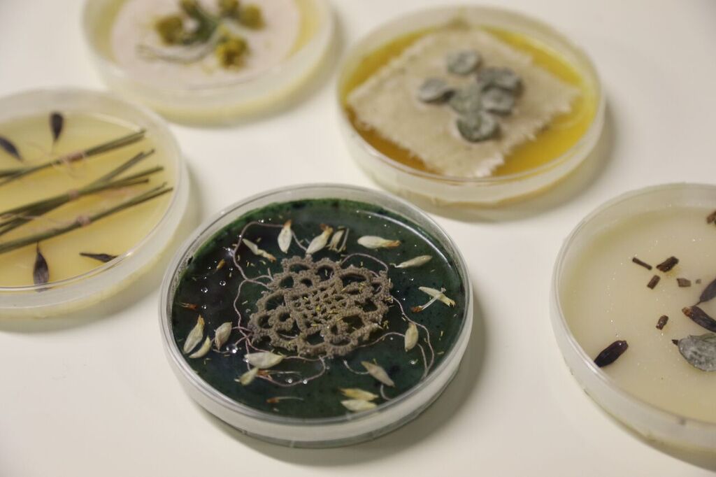 edinburghsocial's tweet photo. @Eh1 Please #RT. Free &amp; Paid Workshops/Events for @EdSciFest in the @_ASCUS https://t.co/eknFB3NhYc https://t.co/DGsZMNQKmo