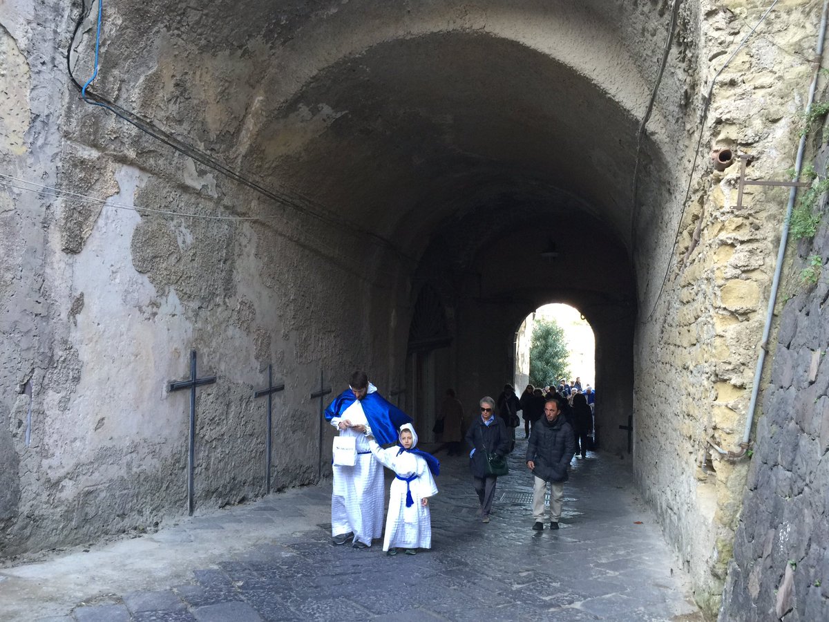 piuturismo's tweet photo. Piccoli Turchini crescono...@visitprocida #PasquaProcida16 #Pasqua2016 https://t.co/OKxopssIoV