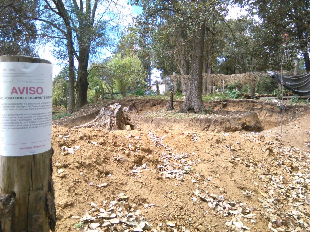 TeT_MContreras's tweet photo. Recorrido de vigilancia y prevención contra el crecimiento de la mancha urbana en Tierra Colorada @Fer_MercadoG https://t.co/qj5AuS3nDy