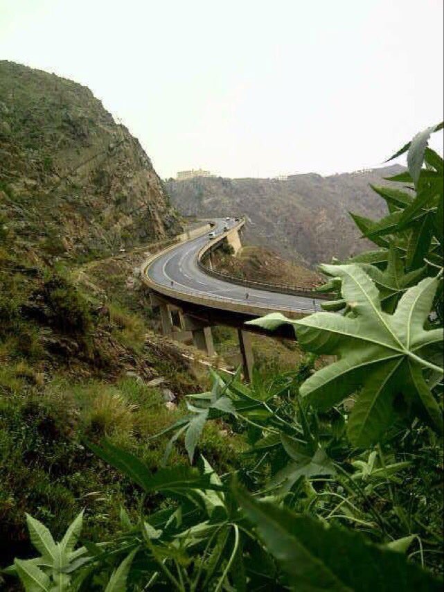 ♥ غًرًوٌرً أنَثٌيّ♥ (@hgfvjrhg1010) on Twitter photo 