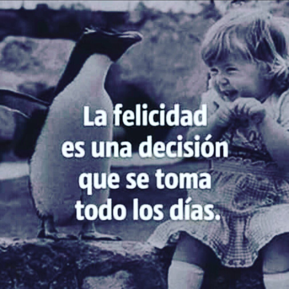 Roberto Sanz tweet media