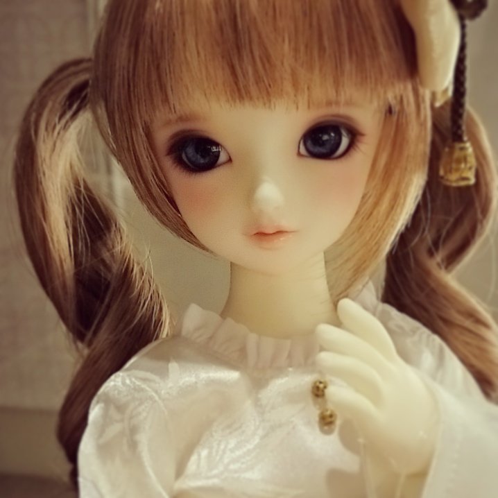 おまけ付き✳ボークス✳スーパードルフィー✳SD✳フルチョイスモデル SDフルチョイスモデル | ボークス公式 ドルフィー総合サイト