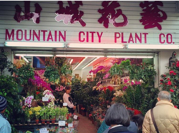 labels_lacquer's tweet photo. A little trip to the flower market 🌻🌺💐🌸🌼🌷🌹🌻💐#hongkong #flower #flowermarkethongkong  #travel #hk #labelsandlacquer https://t.co/WZ3iyuKrKS