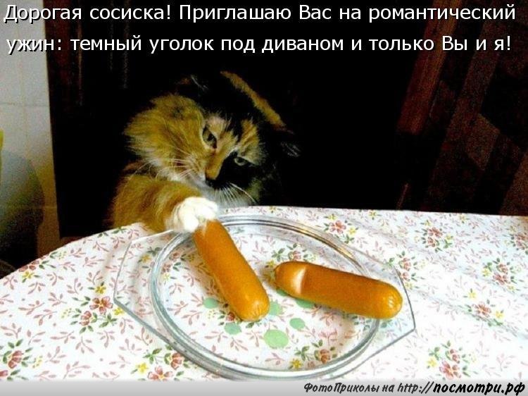 <a href="/5007003/">Елена</a> <a href="/K2644/">Гульжан К</a> <a href="/MUR5879/">В,С,Ч, М .</a> <a href="/nalbakrinoff/">Наталья Альбакринова</a> @rvh111xx <a href="/reka714/">Виктор Девятериков</a> <a href="/miki__ceo/">Никита Арсеньев</a>