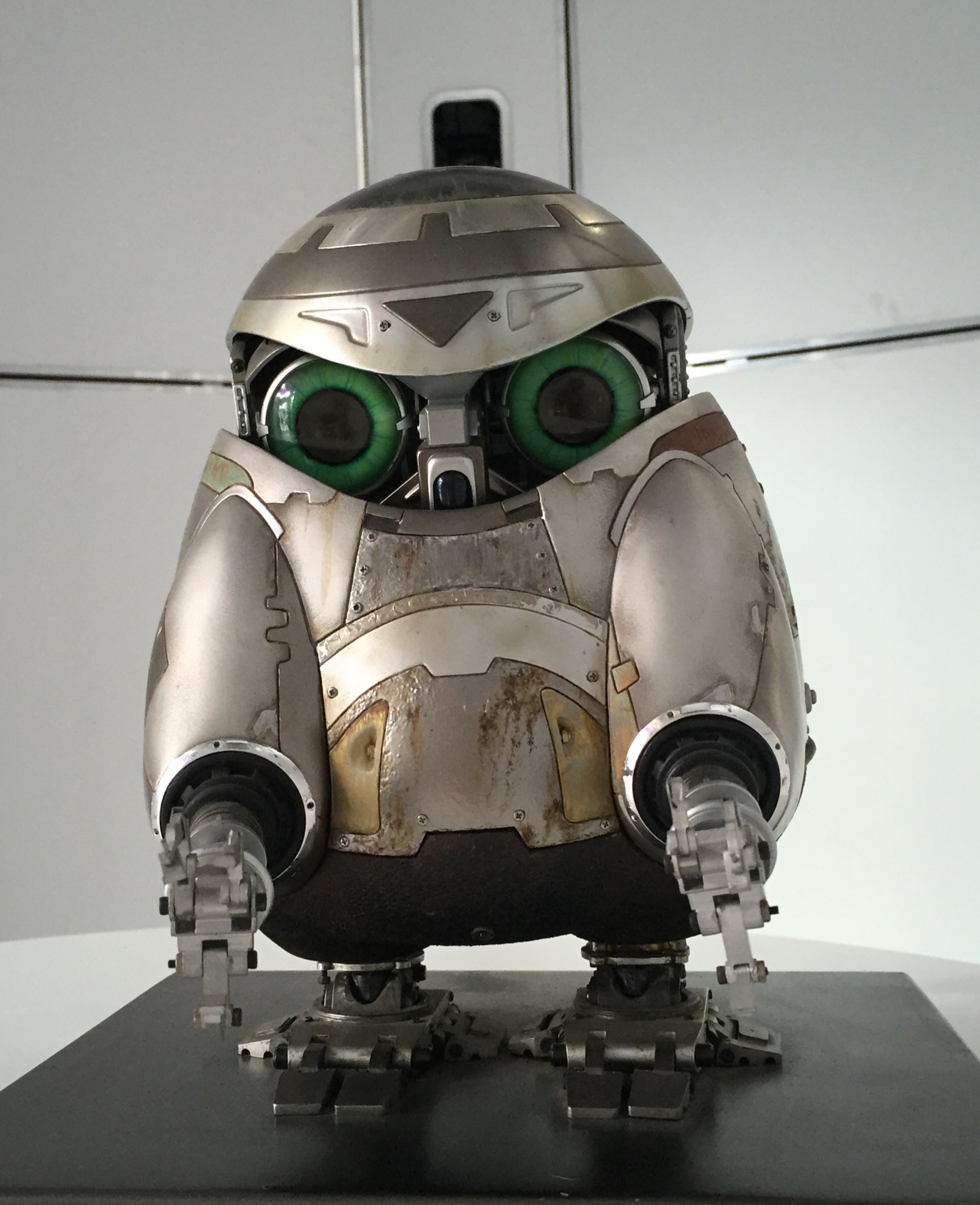 情景師アラーキー 荒木さとし ジュブナイル テトラ 映画に使われた正真正銘の本物の テトラ とあるプロジェクトの為に特別にお借りしています 感動で手が震えます T Co C2uvyzyvvw Twitter