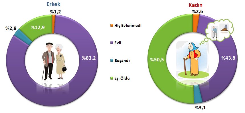 RT <a href="/en_pazarlama/">EN Pazarlama</a>: RT <a href="/tuikbilgi/">tuik.gov.tr</a>: Ülkemizde 65 ve daha yukarı yaştaki nüfusun oranı %8,2'dir
tuik.gov.tr/basinOdasi/hab…