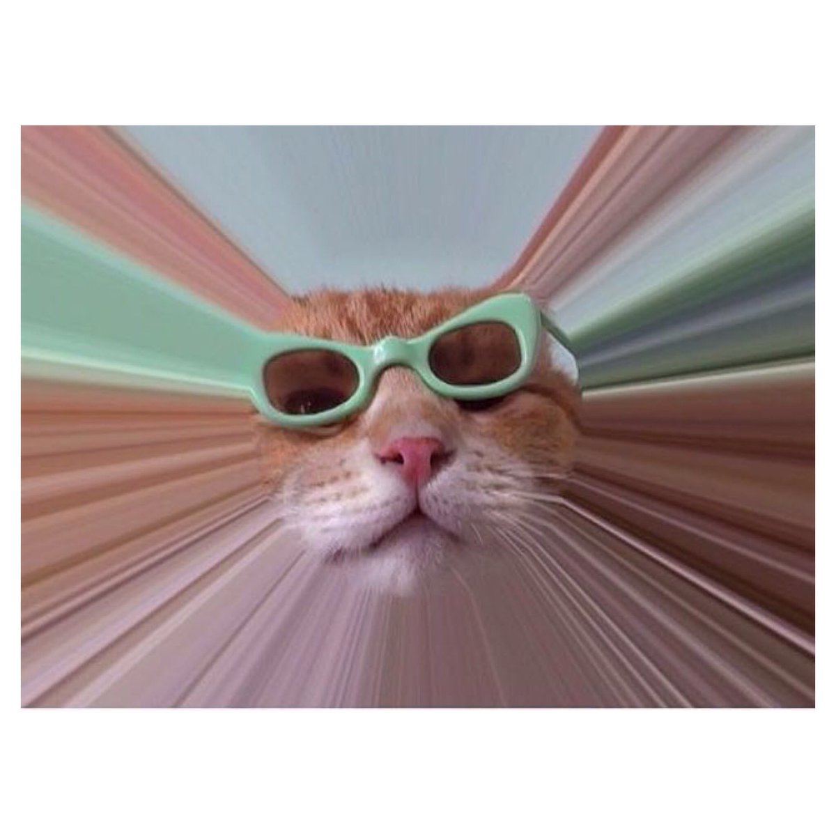 MCBeautyDrawer's tweet image. IT&apos;S A BANK HOLIDAY WEEKEND 👊 #howwefeel #4dayweekend #powderpet #CatsOfTwitter