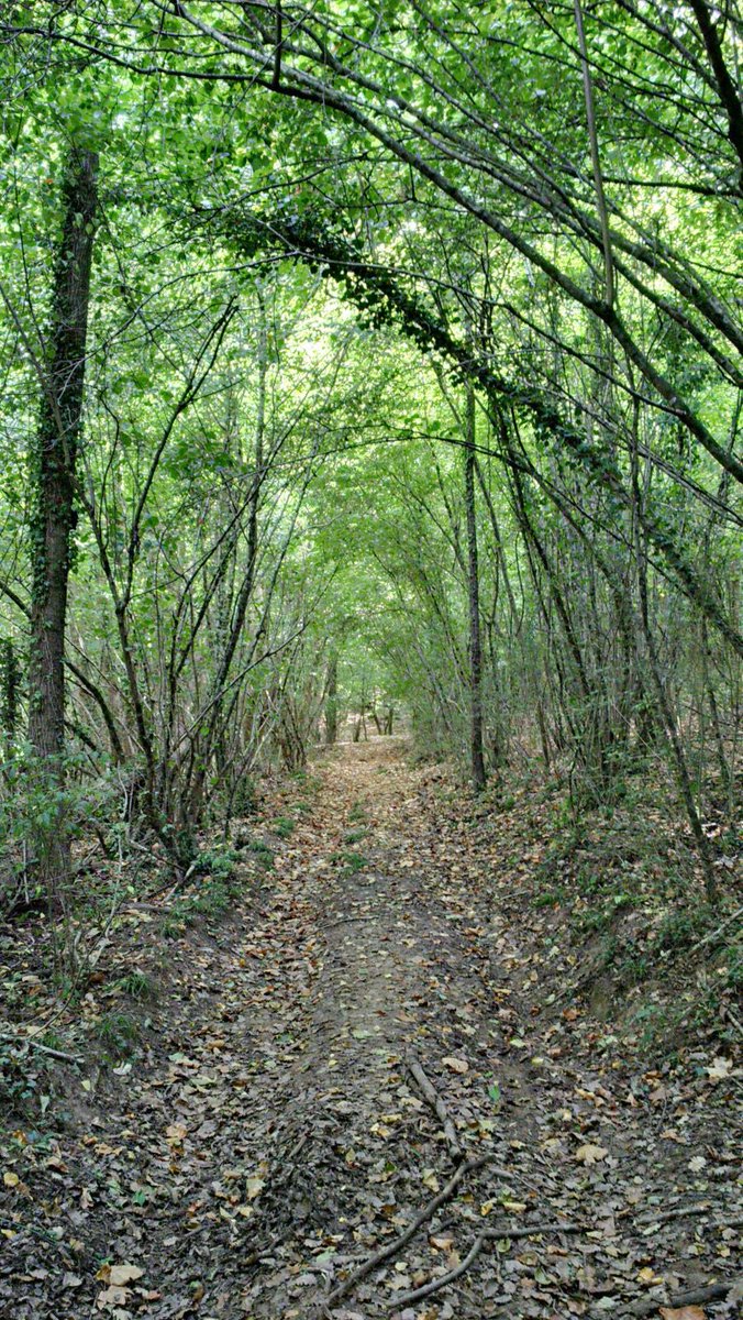 LiquatsP's tweet photo. Te apetece una excursión? Quieres ver dónde estamos y el paisaje que nos rodea? #semanasanta #montseny https://t.co/ToWnXD7Thd