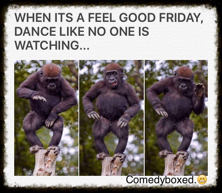 NoMe_Simpatizas's tweet photo. #meme #like4like #follow #comedyboxed #comedy #funny #kappit #insta_comedy #instagood #friday #lol #lmao #fridaymem… https://t.co/847TQEYBoZ