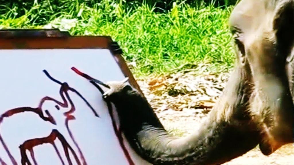 missyfitzart's tweet photo. Exmouth art trail.. All abilities wanted! Contact me or Sea Dog Art  @ExmouthFestival @exmouthjournal @exmouthguide https://t.co/RRhs35BSu1