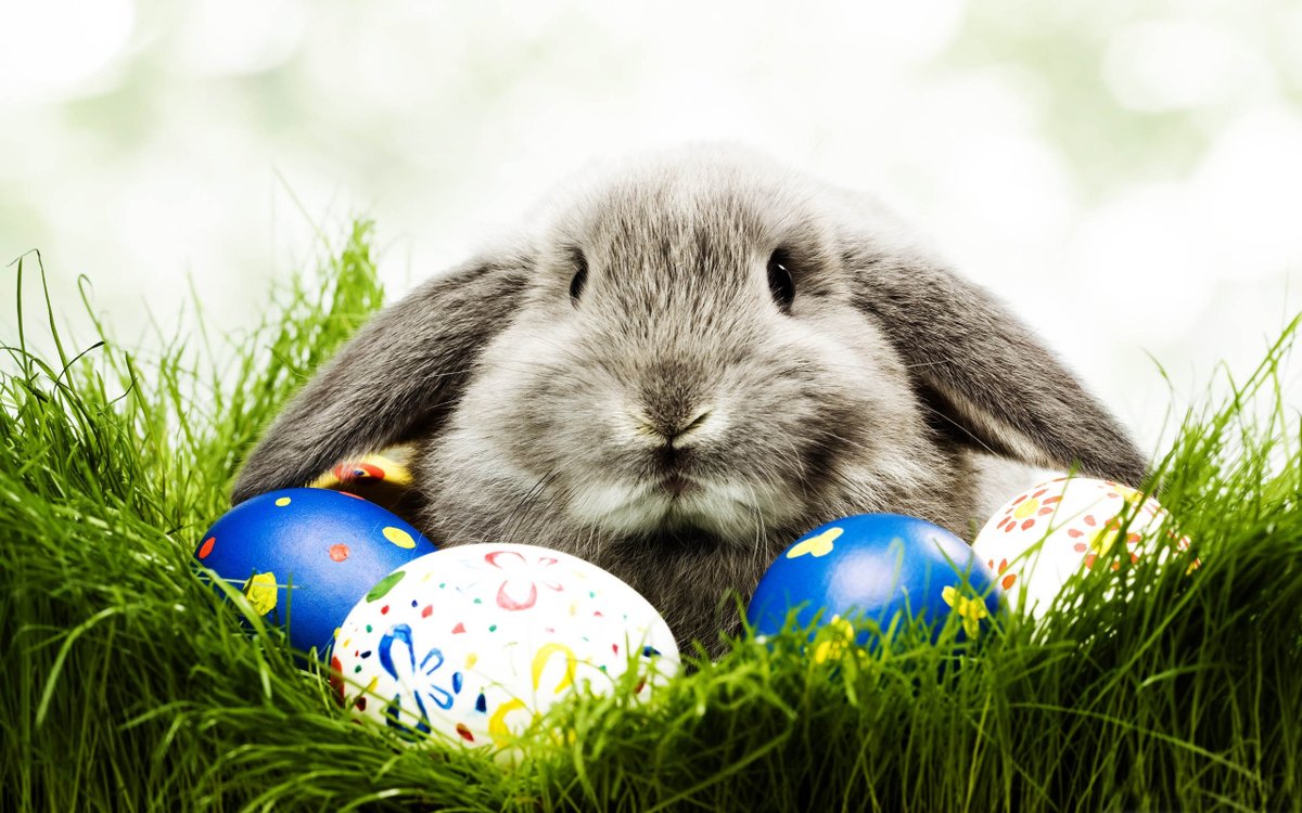 Happy Easter from all of here at Venue Reading! We hope everyone has a safe and enjoyable break.