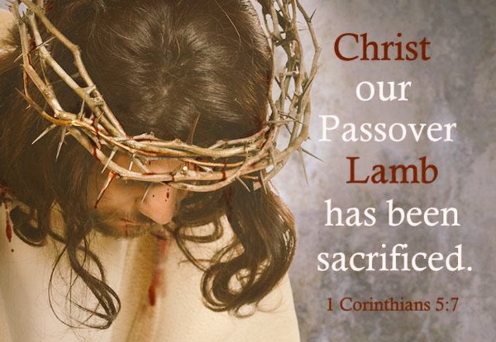 cindytrimm's tweet photo. Jesus gave His Life so that we could have eternal life...that's love! John 3:16, 
I Corinthians 5:17 https://t.co/7HhkoT7tU2