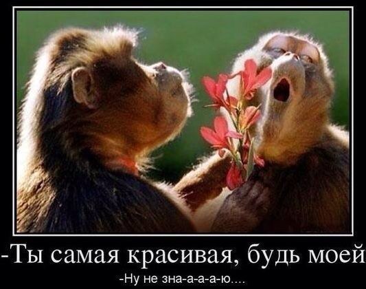 <a href="/reka714/">Виктор Девятериков</a> <a href="/ulad1952/">Владимир  Пономарев</a> <a href="/K2644/">Гульжан К</a> <a href="/MUR5879/">В,С,Ч, М .</a> <a href="/nalbakrinoff/">Наталья Альбакринова</a> @rvh111xx <a href="/miki__ceo/">Никита Арсеньев</a> Нужно и пококетничать..