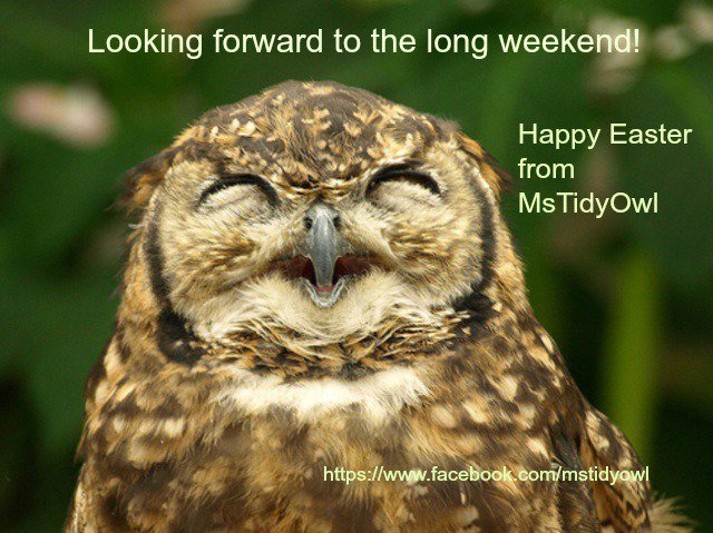 MsTidyOwl's tweet photo. https://t.co/EaMu4ApYPK