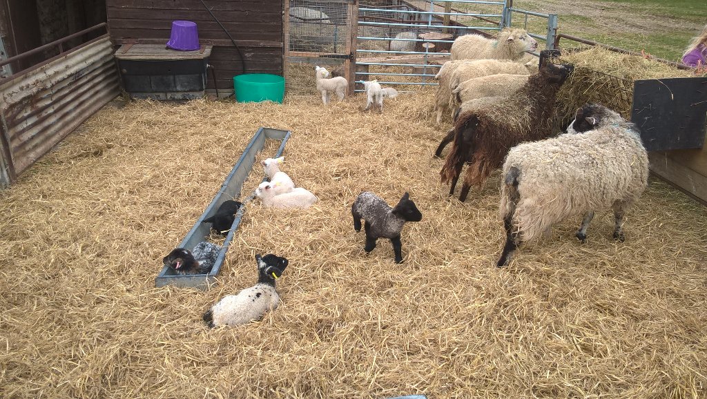 ElixirRemedy's tweet image. #Happy #Easter to all our customers . Enjoy the Joys of #Spring