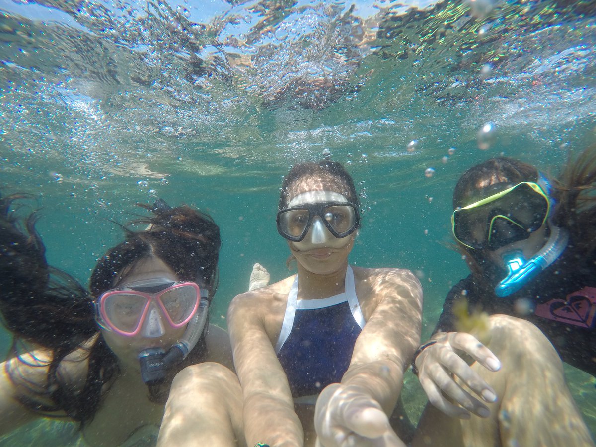 beaistan's tweet photo. Today's fam-ventures :)) @gizzletan 🐢🐢🐢 https://t.co/7kjehJgIFZ