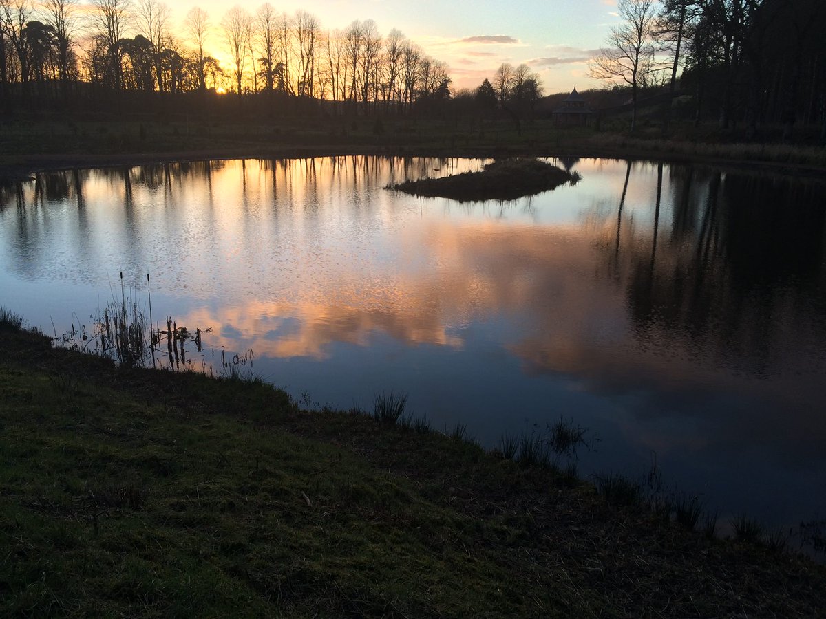 DhLodge22's tweet photo. Lodge guests should take a sunset walk in our beautiful arboretum and admire the ethereal reflectionS#walkscotland https://t.co/c6QGPYatSM