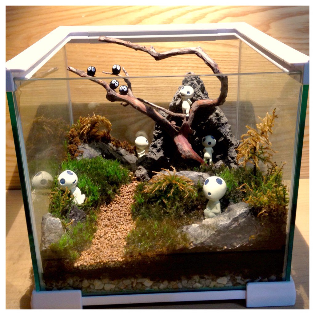 ハチュクリ𓆈爬虫類youtube Twitterissa それを こうカットして こうして こう ドヤ もののけの森 Vivarium ハチュテリア コケリウム ジブリウム もののけ姫 コダマ こだま ジブリ トトロ T Co Nc2exad8bp