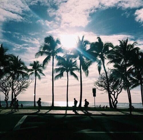 BosBitches's tweet image. This looks like paradise 😍🌴🌊