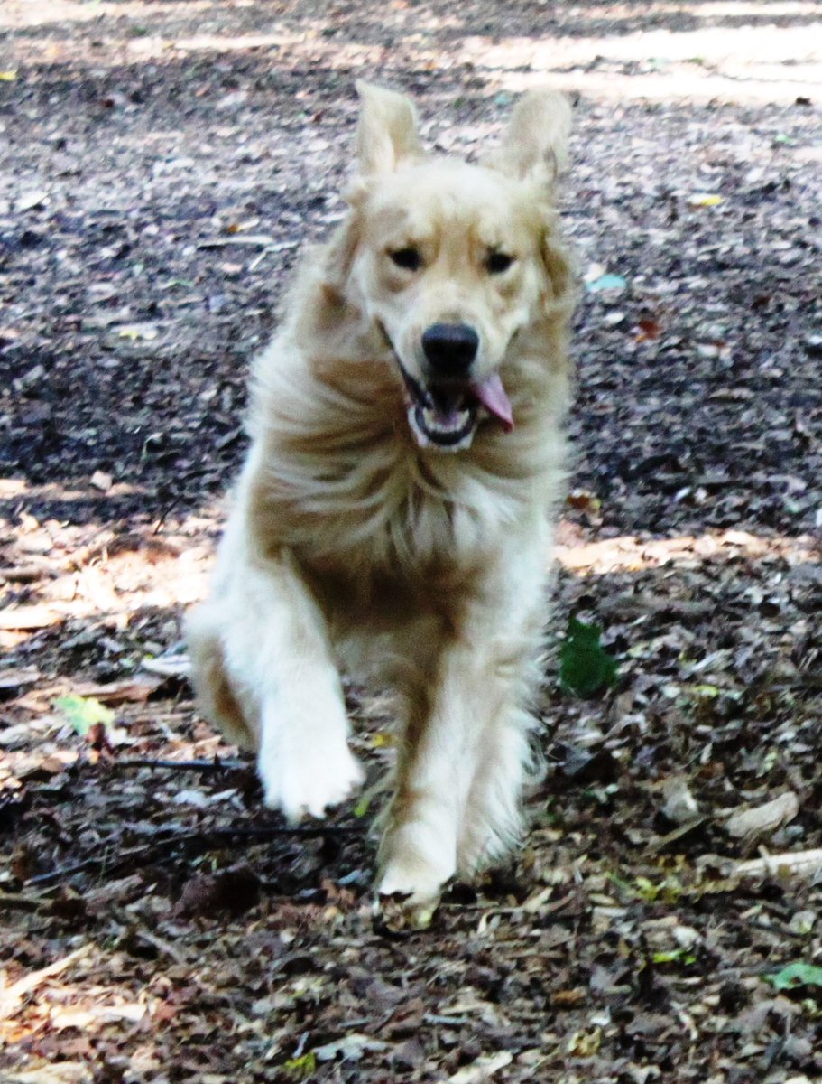 diary_thin's tweet image. It's Friday - YEAH!!!