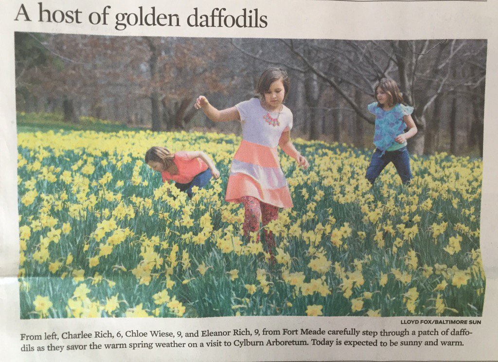 RecNParks's tweet photo. Cylburn Arboretum was the featured photo on front page of yesterday's @baltimoresun! #SpringInBaltimore #RecMatters https://t.co/agE6L4EYuW