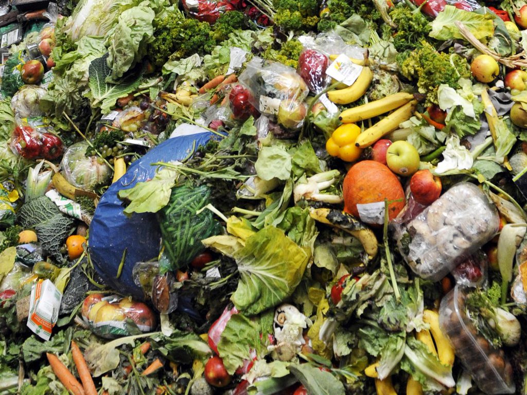 MikeHudema's tweet photo. First #France banned food waste. Now #Italy's stepping up. Who's next? https://t.co/7ru1dp7k7u #foodsecruity #waste https://t.co/8L71TYT69S