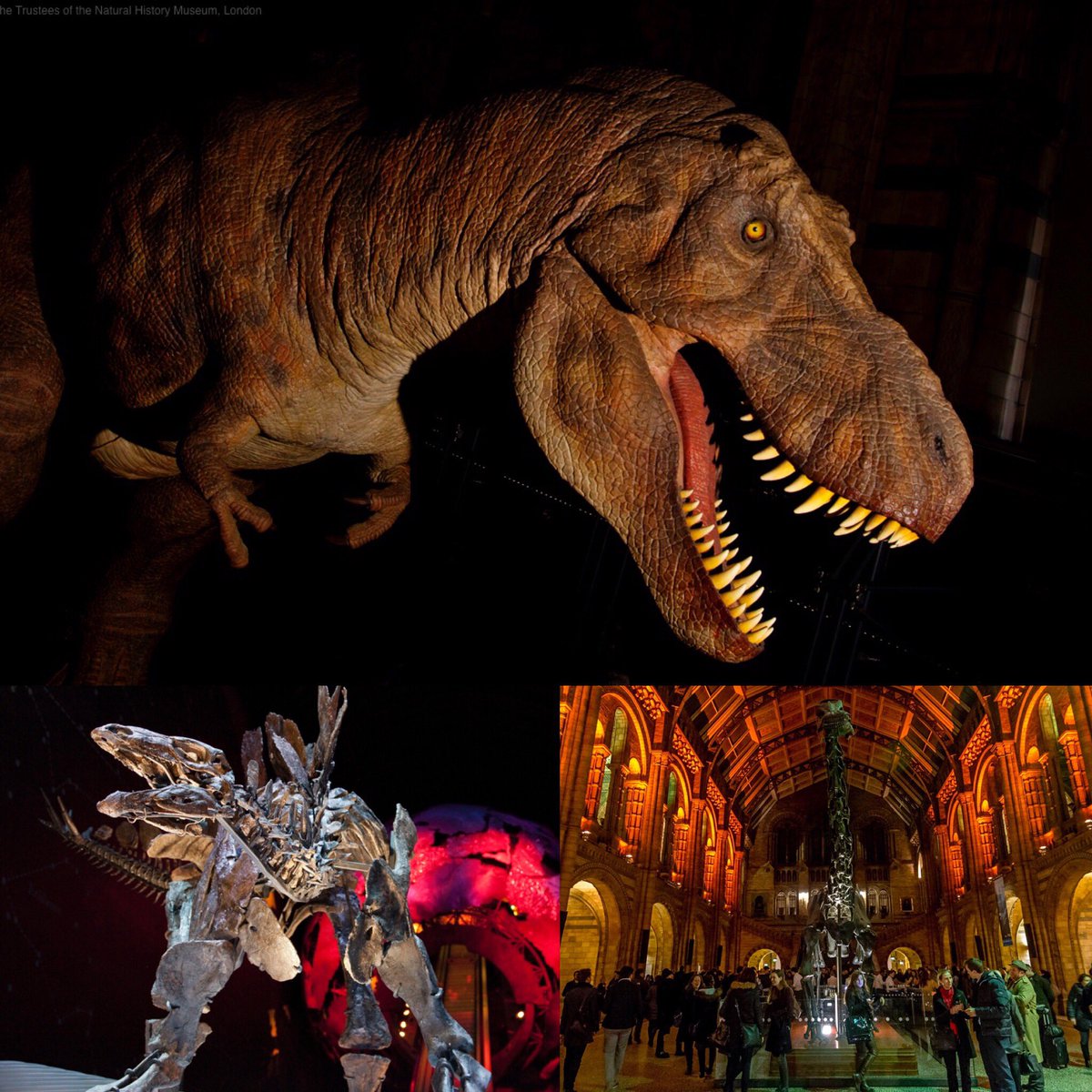 NHM_London's tweet photo. Not only are we open for the whole #Easter w/e, we’re also open until 22.00 tonight for a dino-themed #NHMLates https://t.co/Itwsin1sTc