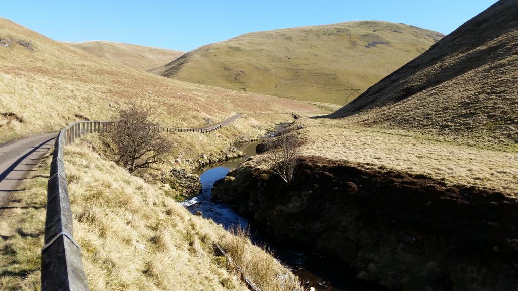 CarolParsons's tweet photo. #Northumberland #borderforest #Scenic #sunnyday #bankholiday #EasterWeekend https://t.co/px08WJqZwX