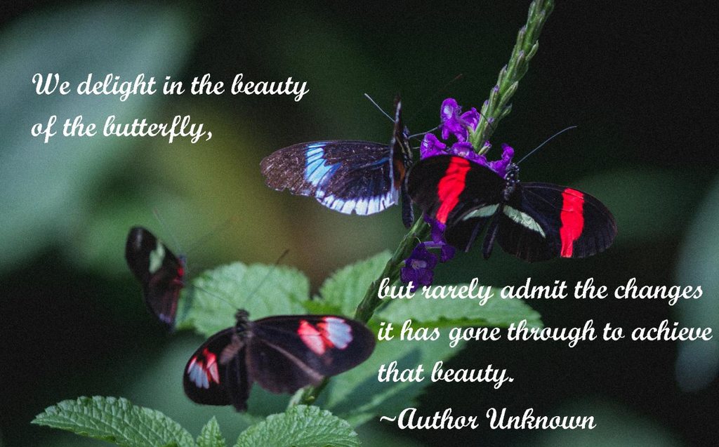 Pictured Wisdom (@picturedwisdom) on Twitter photo 