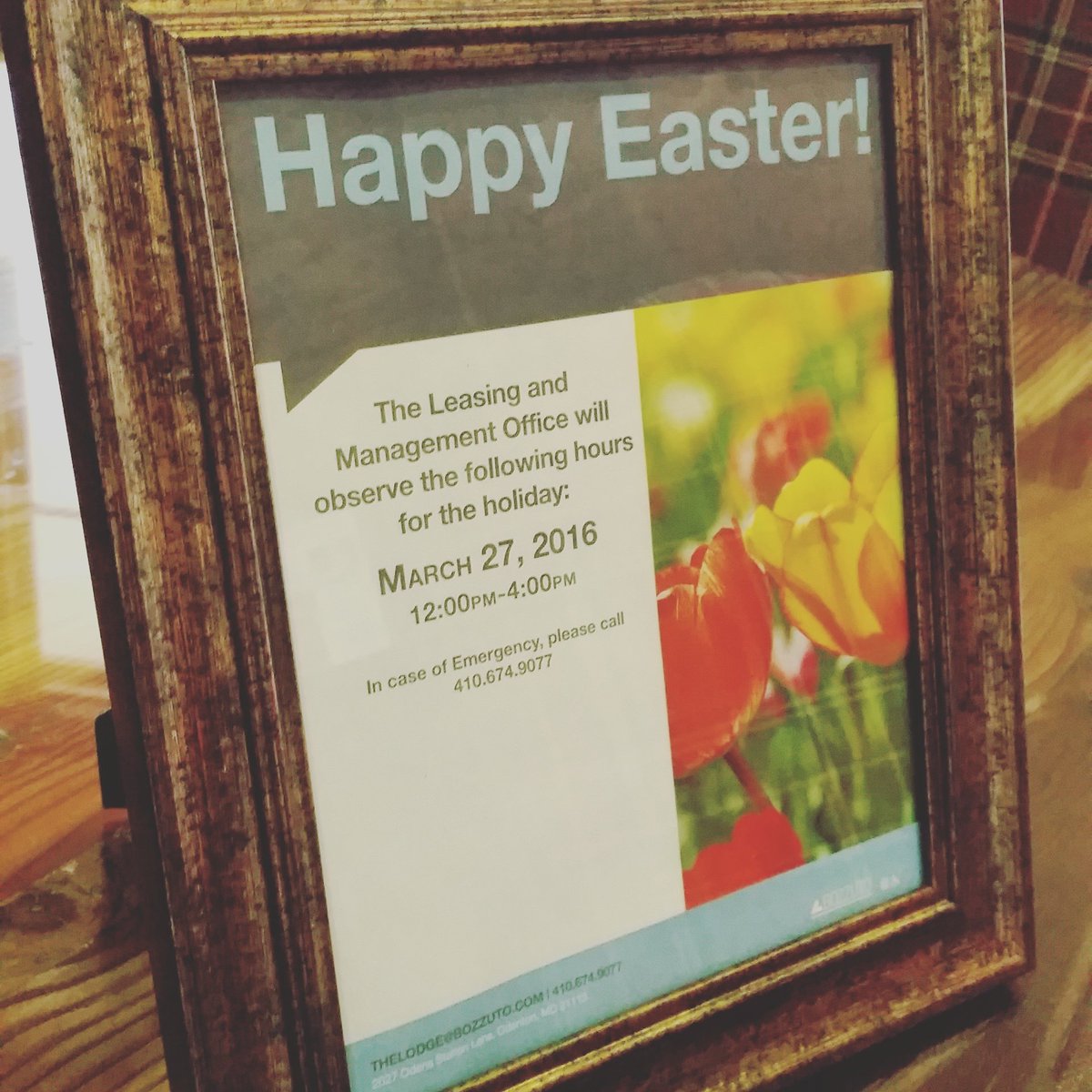 LodgeSevenOaks's tweet photo. This Sunday, March 27th our office will be open from 12:00 pm - 4:00 pm. #HappyEaster https://t.co/uPjMDO5XhI