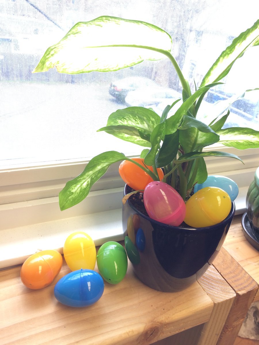 SEM_Geeks's tweet photo. Easter started early at #SEMGeeks. Thanks to "Smokes" the Bunny Bandit for surprising us with #eggs full of candy. https://t.co/RVLQ8RPz6q