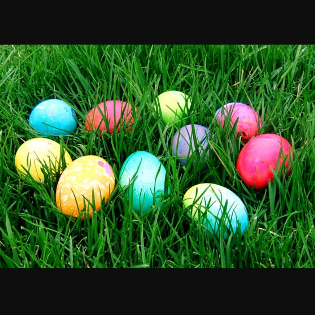 LodgeSevenOaks's tweet photo. Join us Saturday in the Clubhouse for our Easter Egg Hunt! Be there at 9:00am to see what the Easter Bunny left you! https://t.co/wvADyWVpTB