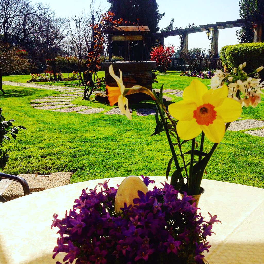 Hotel Villa Cipriani (@villacipriani) on Twitter photo 