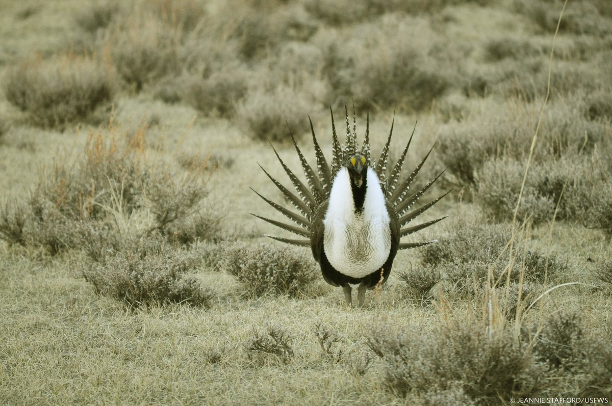 The Nature Conservancy on Twitter: The Nature Conservancy on Twitter: