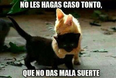 Kronnomc's tweet photo. Como cuando mis zombers me dicen que no haga caso a los haters! ☺️😝😍 https://t.co/brbwCw3UUB