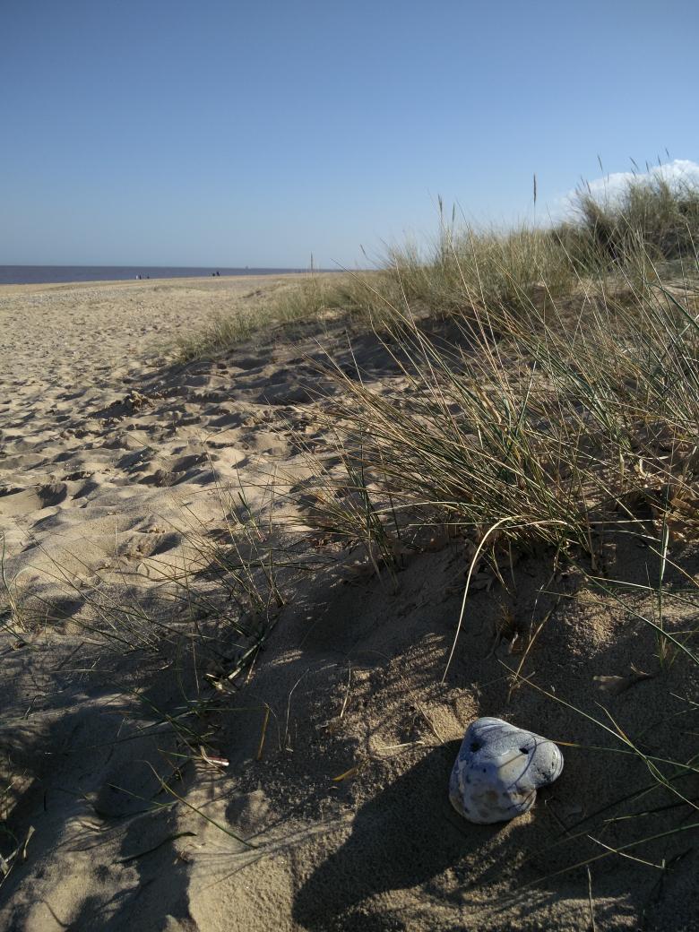 Sunshine, the beach, my boy and my gorgeous wife.. Ah this is the life