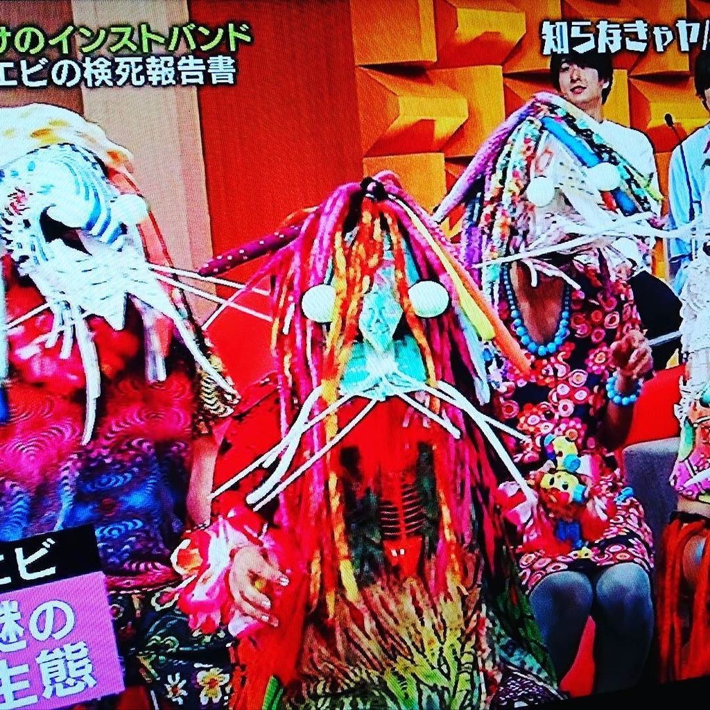 溺れたエビの検死報告書