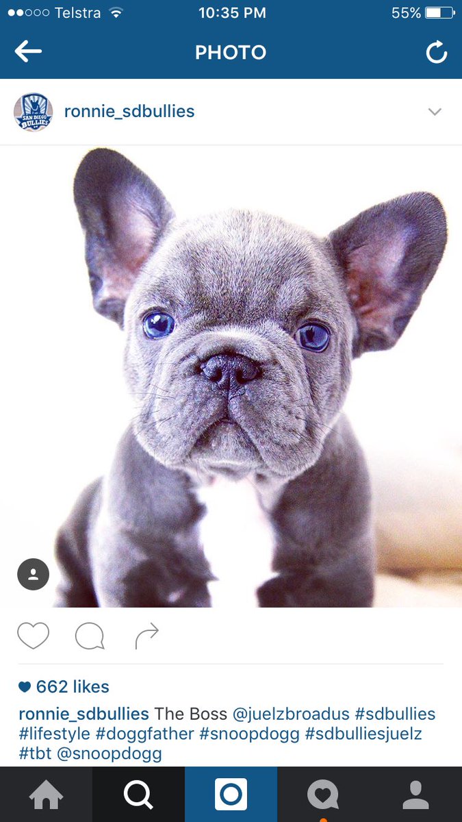 Joel_Fletcher's tweet photo. NEED https://t.co/cF4YY5tJvj
