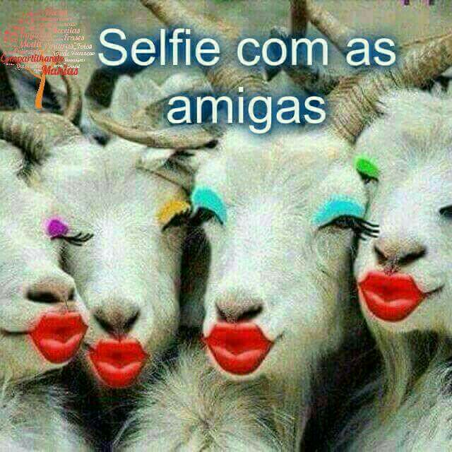 I'm at Academia Trilha Do Corpo in Fortaleza, Ceará w/ <a href="/jaqueli87267999/">Jaqueline</a> <a href="/jarbas31144111/">Jarbas</a> swarmapp.com/c/8s9l70EKYXA