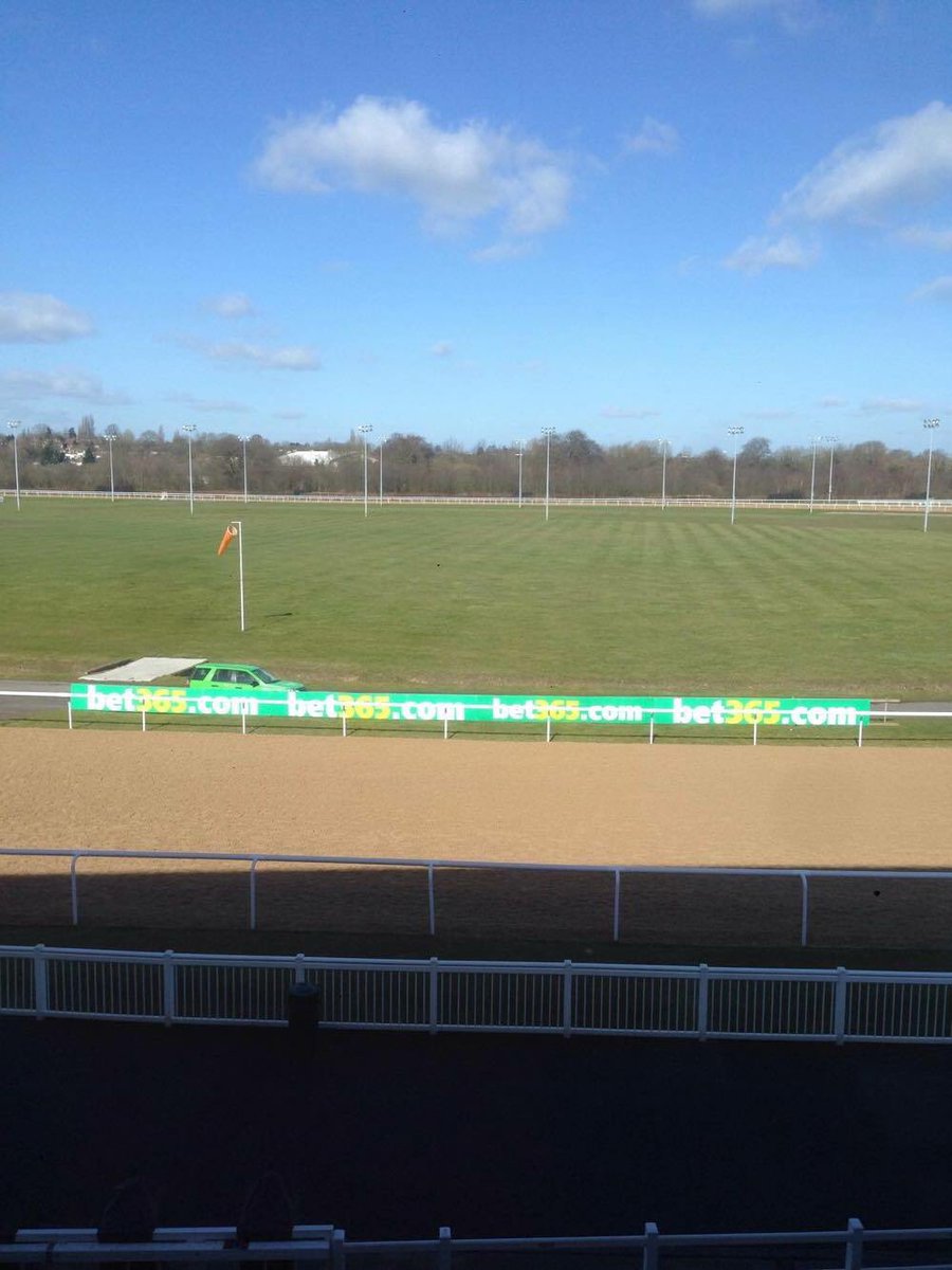 Sarahbond04Xx's tweet photo. Good morning from sunny Wolverhampton @Jigsawsignage @WolvesRaces 🐎☀️ https://t.co/vaeoPAcAGe
