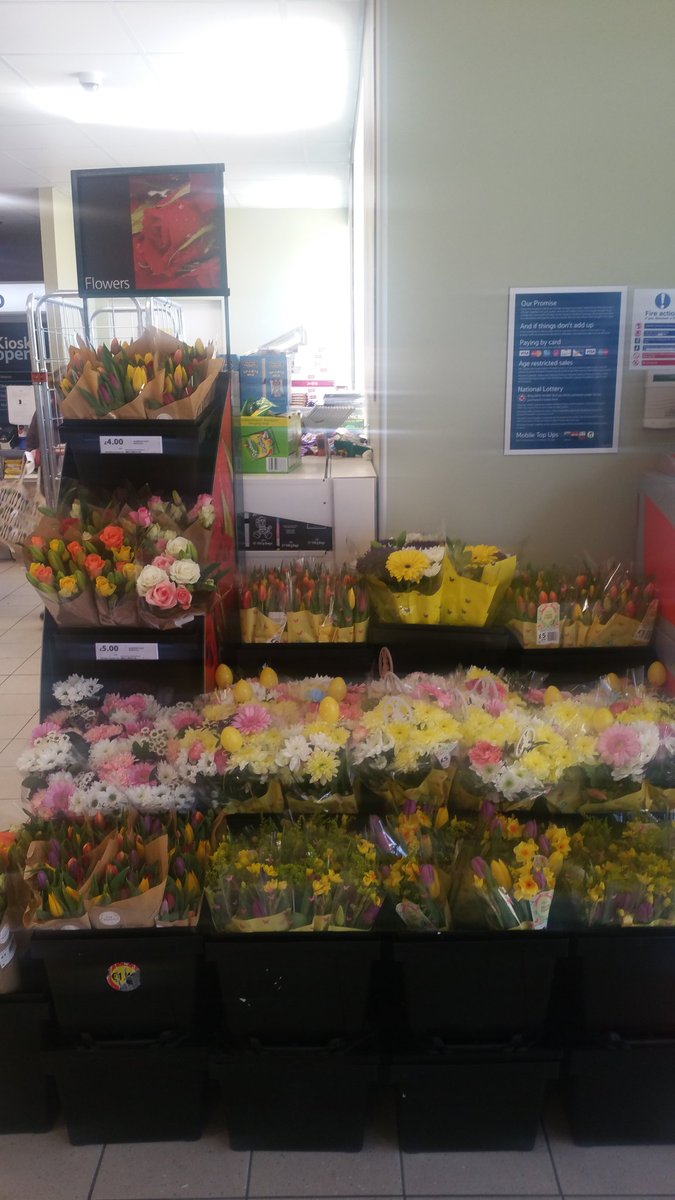 Happy easter <a href="/willjhudson/">will hudson</a> @Doyle123mac <a href="/be_becki/">Beckie Berri</a>