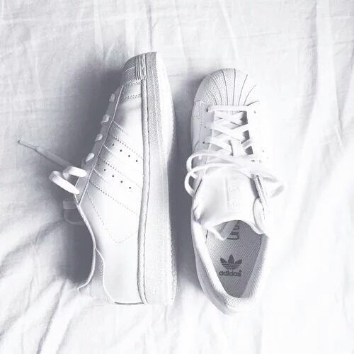 chooseonefab's tweet photo. 42. Which is the best birthday gift for you? https://t.co/zf9DR0xuht